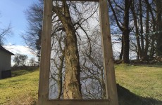 Outdoor Mirror