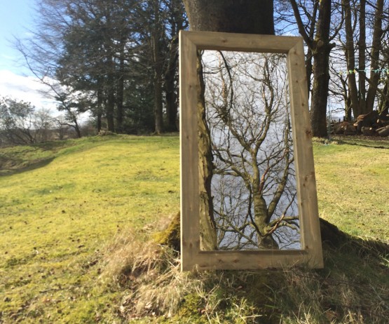 Outdoor Mirror