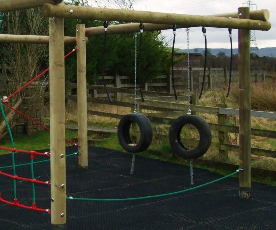 Agility Trail Activity Trail Hanging Tyres
