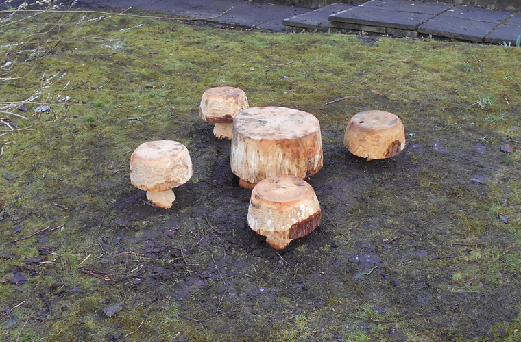 mushroom stools and table