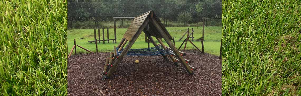 What's happening news item new climbing frame 
