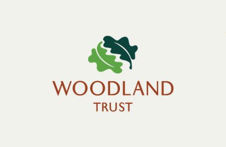 News Woodland Trust Banner Image Free Trees