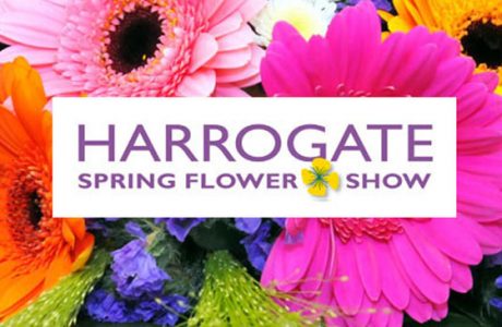 Come and see us at the Harrogate Spring Flower Show