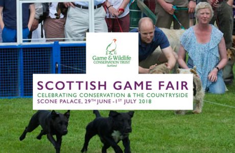 Scottish Game Fair 2018