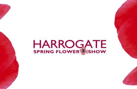 Harrogate Spring Flower Show news banner image