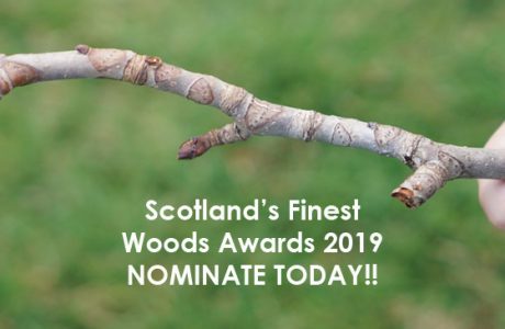 Scotlands finest woods awards news banner image