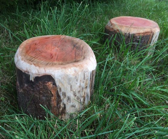 Rustic Log Stump for schools