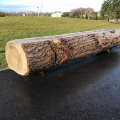 Natural log bench product listing image