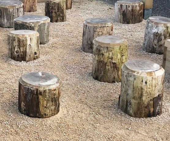 Rustic Log Stump for schools